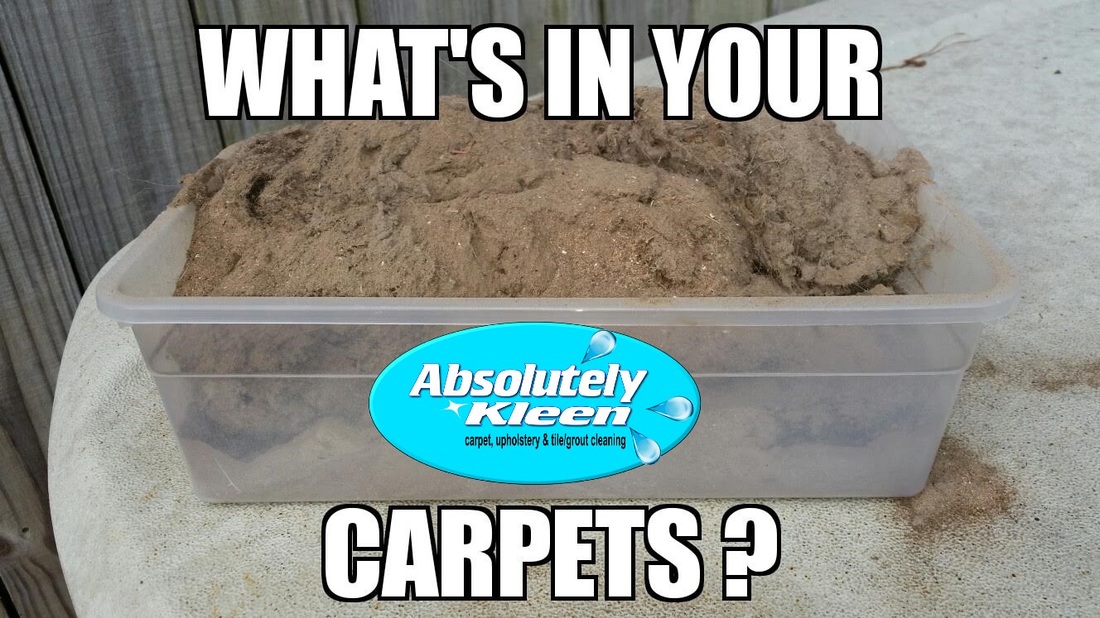 Whats in Your Carpets? Absolutely Kleen of Daphne Alabama