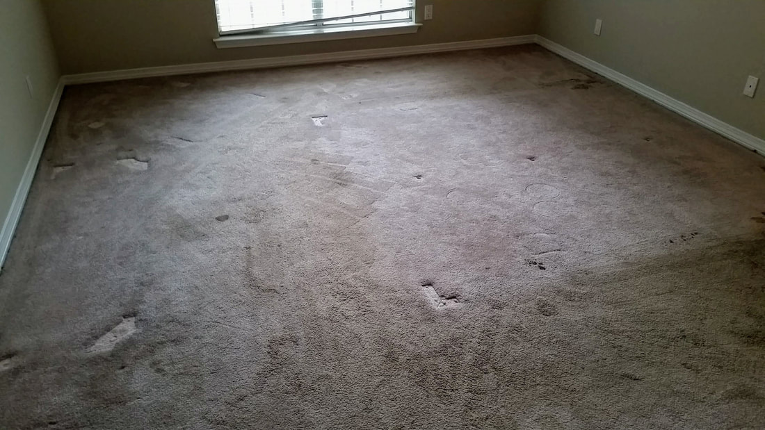 Picture of a polyester carpeting before being cleaned by Absolutely Kleen