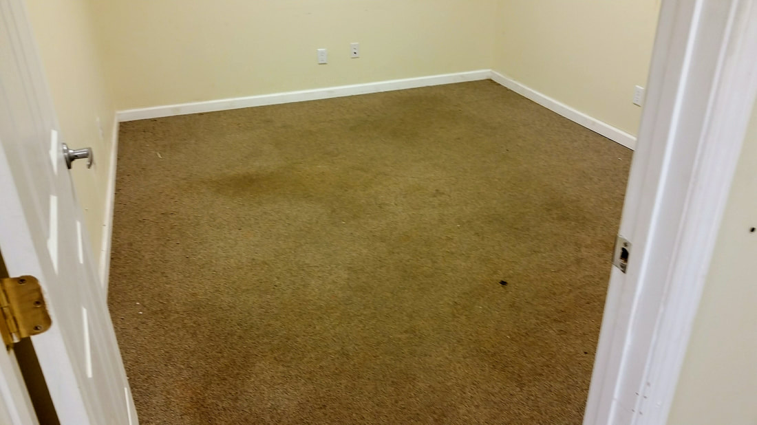 This picture shows the carpeting in one of the office areas before cleaning.