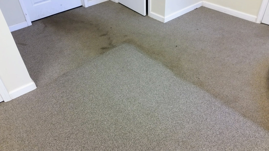 Picture of commercial carpet cleaning in an office area . This carpeting was off of a warehouse area that received a lot of greasy foot traffic. In the image you can vividly see the area cleaned versus the uncleaned side.