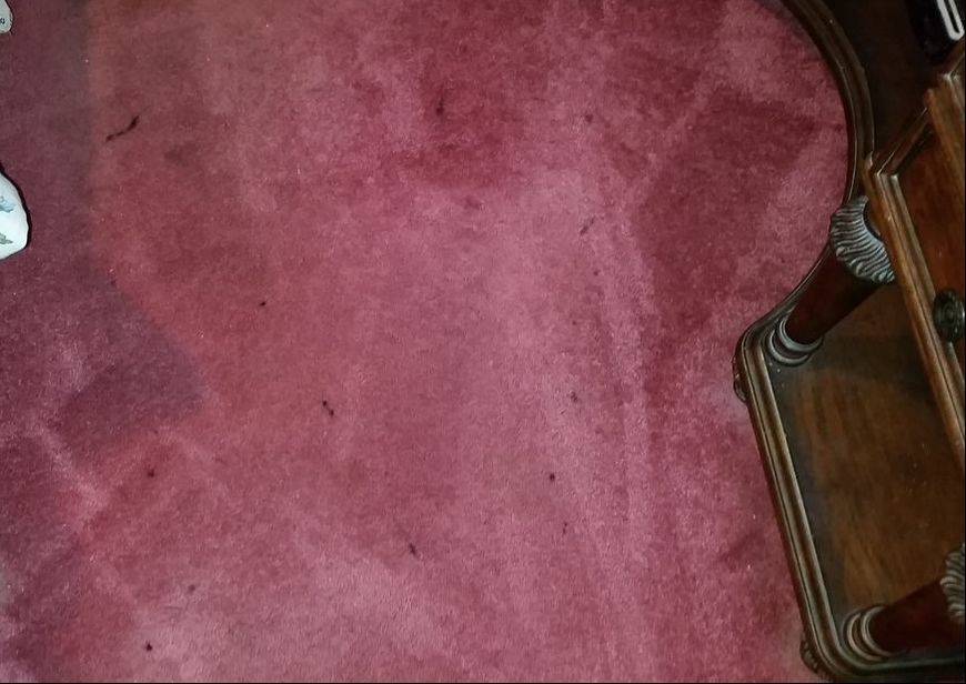 Picture of Ink Stains on carpeting prior to cleaning