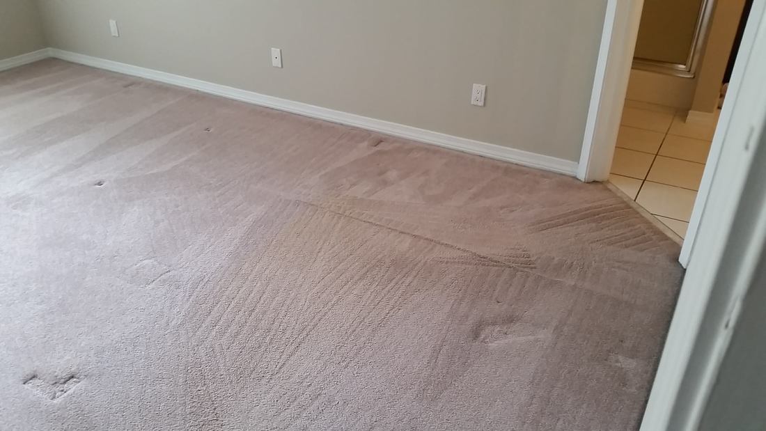 Picture of a carpet in Daphne Alabama after being cleaned by Absolutely Kleen