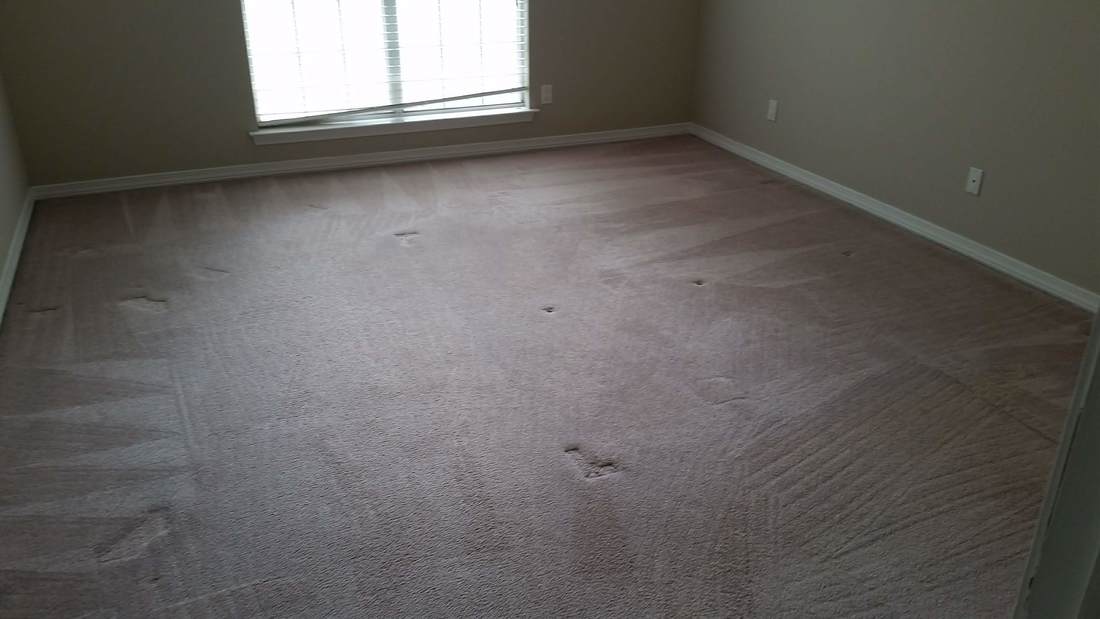 Picture of carpet in Daphne Alabama after being cleaned by Absolutely Kleen