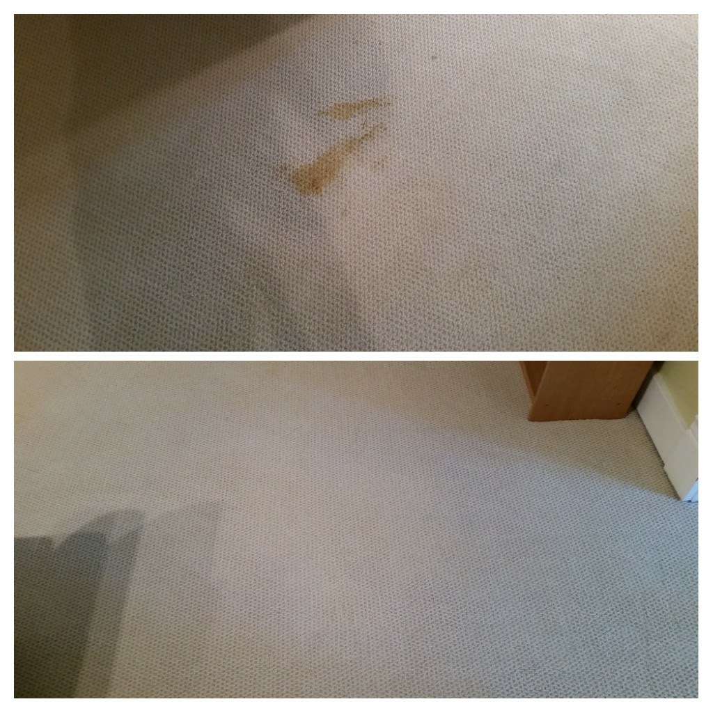 Picture of a before and after pet stain removal by Absolutely Kleen of Daphne, AL. 36526