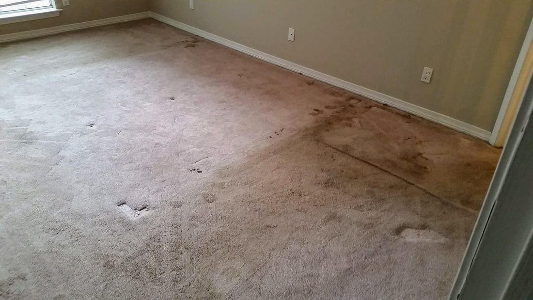 Picture of a carpet in Daphne Alabama before being cleaned by Absolutely Kleen