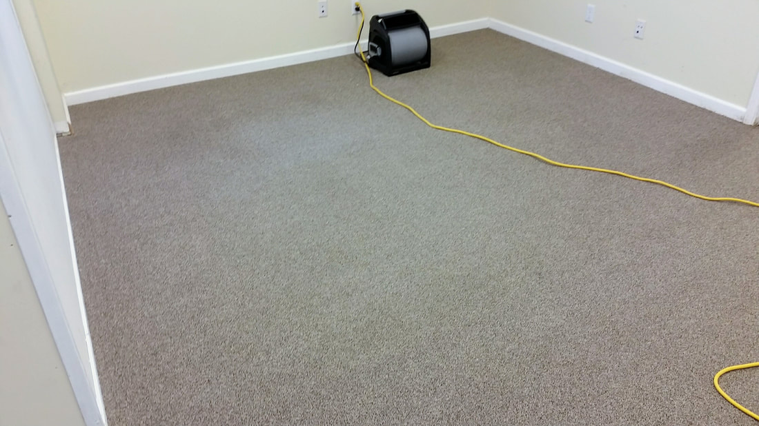 Picture of carpeting after cleaning in the reception area. www.absolutelykleener.com